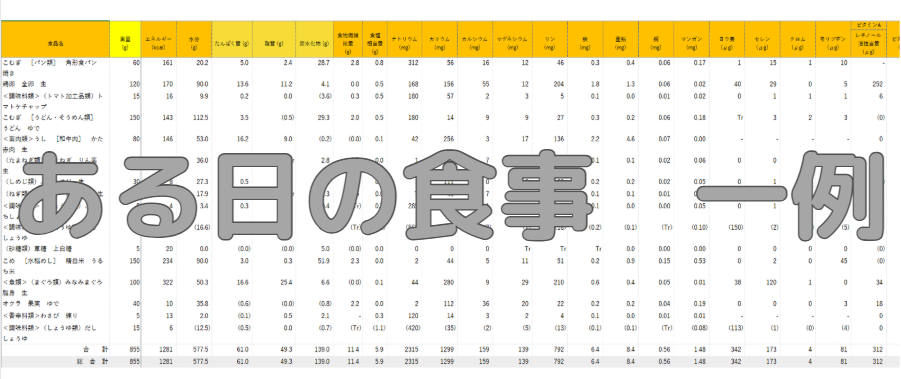 【訪問栄養指導事例紹介④】食事記録から見える栄養のヒント
